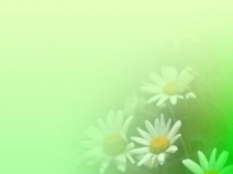 Презентация по окружающему миру Тест