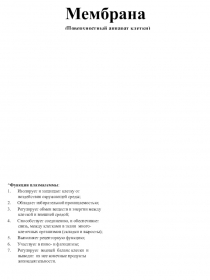 Раздаточный материал по теме: Эукариотическая клетка_Мембрана (плазмолемма)