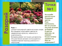 Экологическая тропа а детском саду