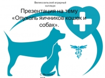 Опухоль яичников