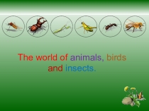 Викторина: The world of birds, animals and insects