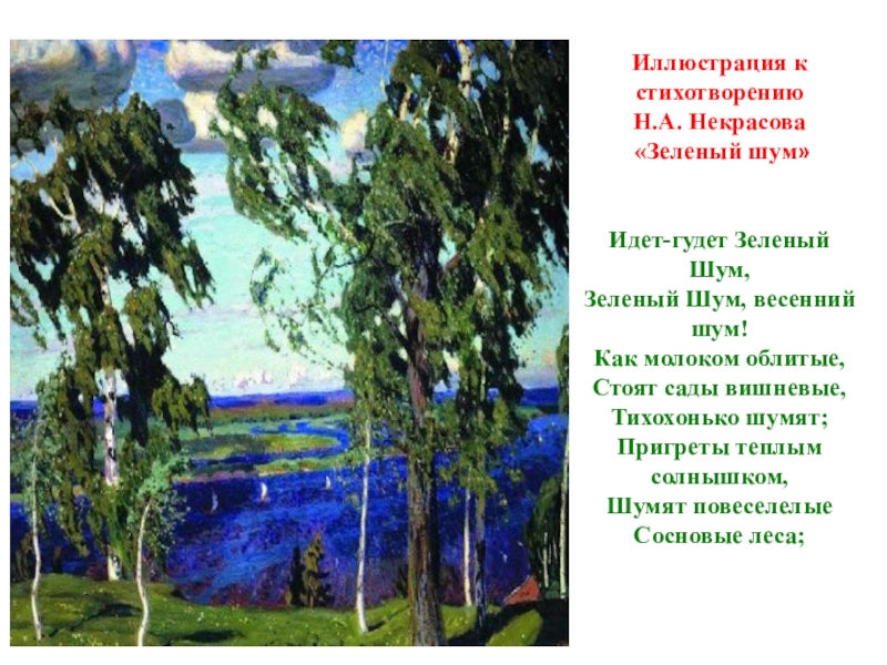 Анализ стихотворения зеленый шум некрасова 8 класс по плану