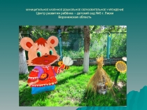 Организация предметно-развивающей среды ДОУ в связи с введением ФГОС