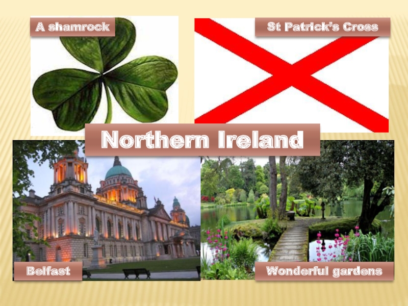 Northern Ireland A shamrockSt Patrick’s CrossBelfastWonderful gardens