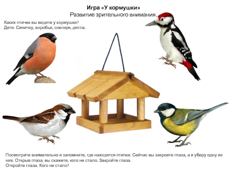 Знакомство С Птицами В Средней Группе