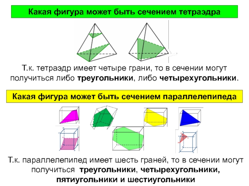 Сечения тетраэдра и параллелепипеда. Сечение тетраэдра и параллелепипеда 10 класс. Сечение тетраэдра и параллелепипеда 10 класс презентация. Виды сечений тетраэдра и параллелепипеда. Тетраэдр и параллелепипед презентация.