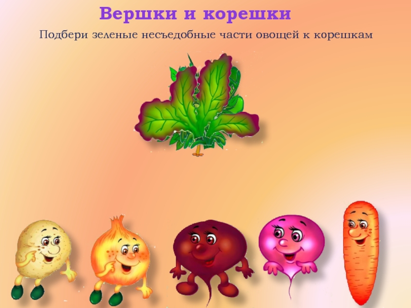 Игра вершки и корешки в картинках