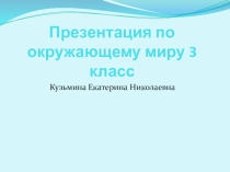 Презентация по окружающему миру Разнообразие животных 3 класс