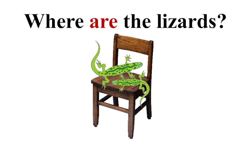 Where are the lizards?