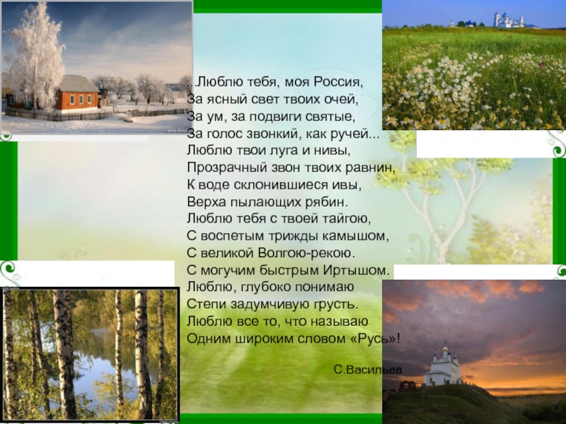 Урок васильев россия. Люблю тебя моя Россия стих. Стихотворение люблю тебя Россия. Стихотворение о родине. Люблю тебя моя Россия за Ясный свет твоих очей.