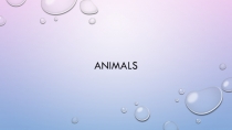 Презентация по английскому языку 3 класс Животные
