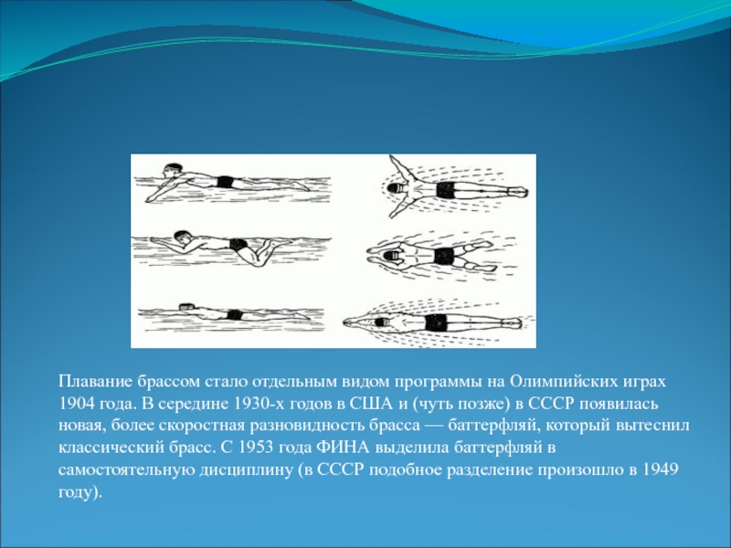 Плавание брассом. Вид плавания брасс. Легенды плавания брасс. Средняя скорость плавания брассом. Олимпийских игр в 1904 году плавание.