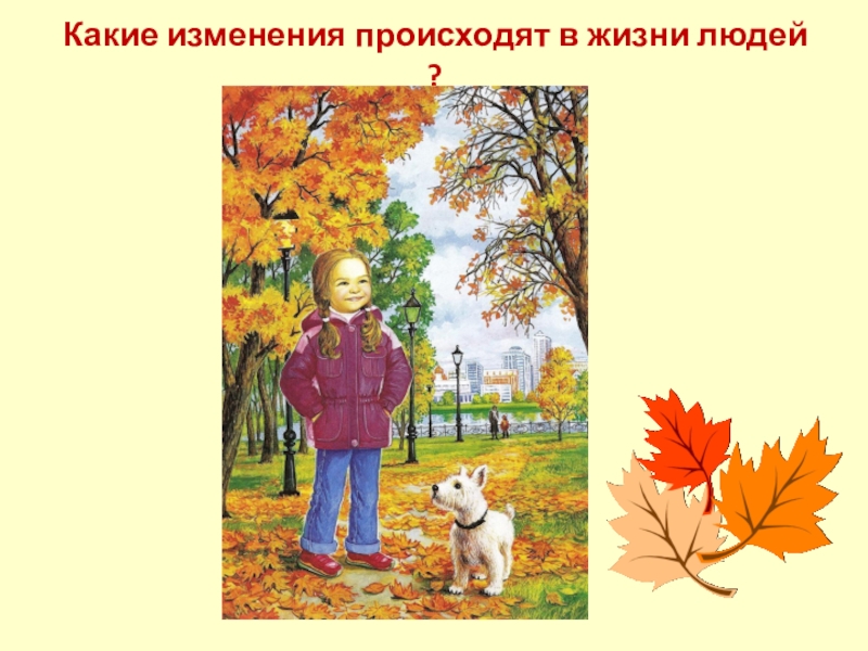 адаптация насекомых в природе. какие изменения происходят в жизни. какие изменения происходят в жизни животных осени. изменения в жизни общества нового времени. какие изменения происходят в жизни.