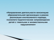 Направления деятельности консилиума образовательной организации в рамках реализации инклюзивного подхода, психолого-педагогическое сопровождение детей с тяжелыми и множественными нарушениями развития. Презентация