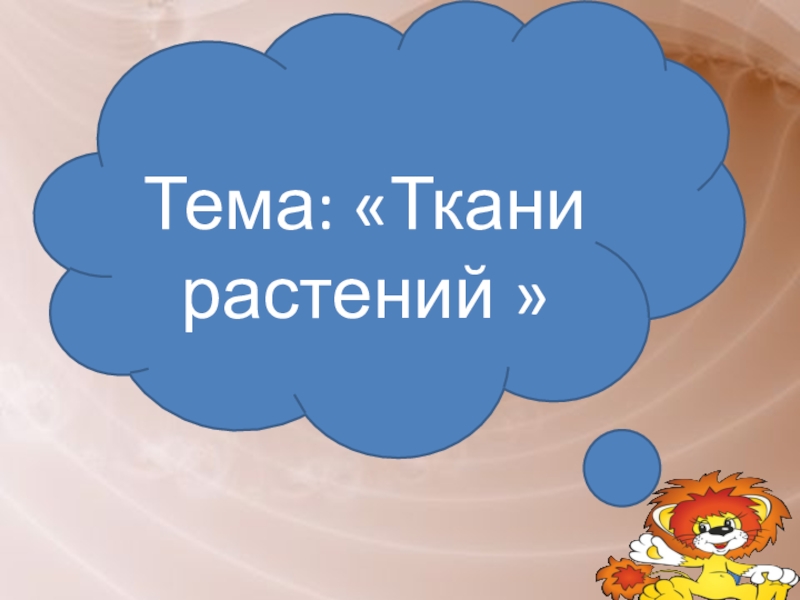 Презентация к уроку биологии на тему Ткани растений