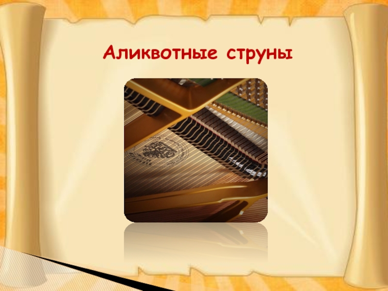 Аликвотные дроби проект