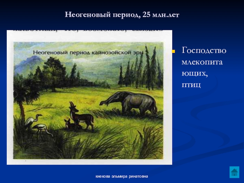 25 в периоде. Кайнозойская Эра неогеновый период таблица. Неогеновый период. Неогеновый период ароморфозы. Неогеновый период условия жизни.