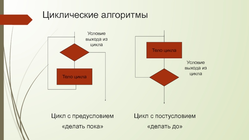 Алгоритм тела. Нелинейные алгоритмы примеры. Цикл с условием выхода. Циклический алгоритм тело цикла. Линейные и нелинейные алгоритмы.