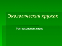 Презентация о деятельности объединения Экологический кружок, 8 класс