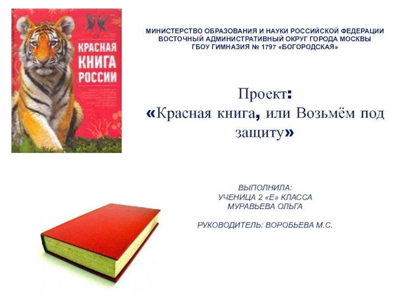 Возьми под защиту 2 класс окружающий мир. Проект по окружающему миру 2 класс красная книга титульный лист. Проект красная книга или возьмем под защиту. Защита проекта красная книга. Проект по окружающему миру красная книга.