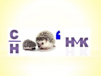 Презентация по изобразительному искусству на темуПодснежники(2 класс УМК Школа России)