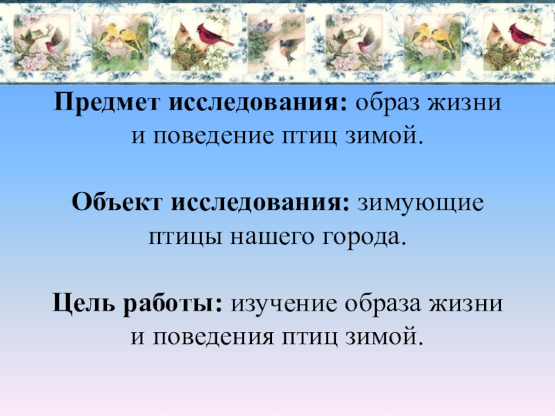 Исследовательская работа образ. Что такое объект исследования птиц. Образ жизни птиц поведение. Объект исследования кормушки. Покорми птиц проект объект исследования.