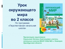 Урок окружающего мира по теме Вода и её свойства(2 класс ПНШ)