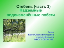 Презентация по биологии по биологии на тему Надземные видоизмененные побеги ( 6 класс)