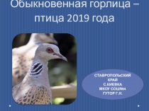 Презентация по экологии на тему Обыкновенная горлица птица 2019 года