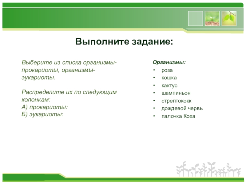 Перечень организмов. Познавательные УУД на уроках биологии. Список организмов. УУД на уроке бактерии биология. Препараты для уроков биологии.