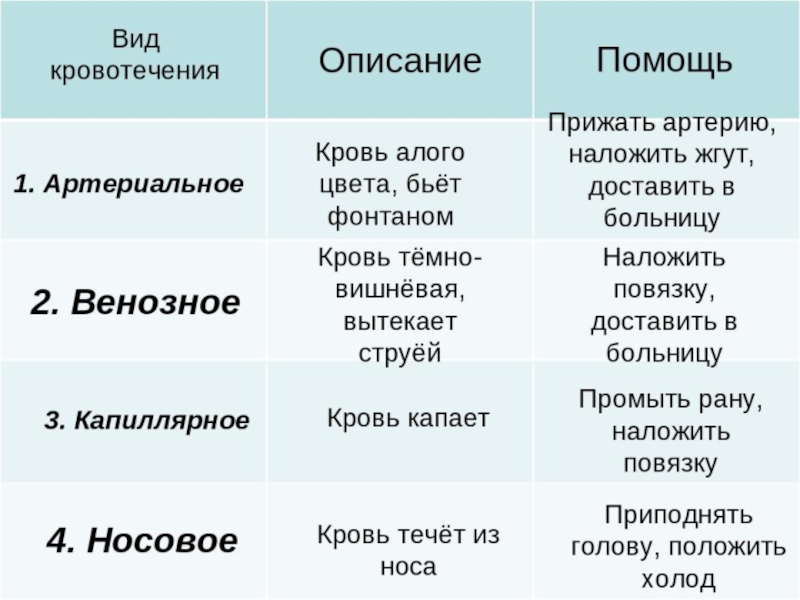 Презентация кровотечения виды кровотечений первая помощь при них презентация