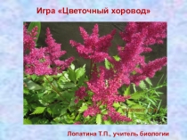 Презентация Игра Цветочный хоровод (6 класс)