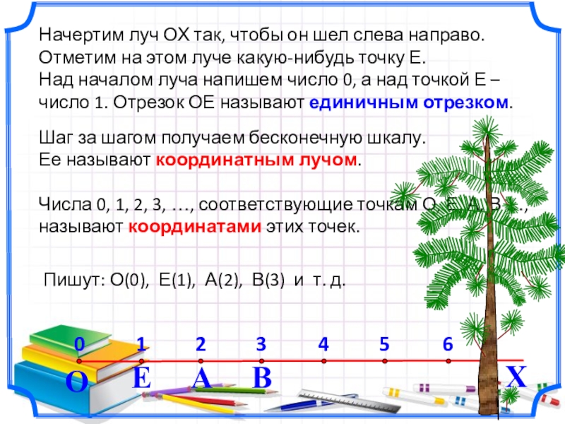 5 класс виленкин презентации