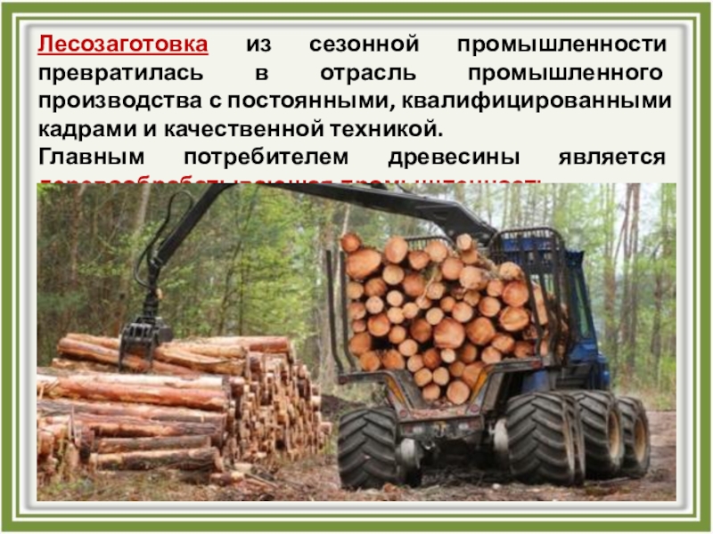 Развитие лесного комплекса. Лесная промышленность лесозаготовка. Лесозаготовка презентация. Лесозаготовительная промышленность презентация. Профессии лесозаготовки.