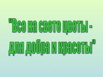 Презентация к уроку Первоцветы
