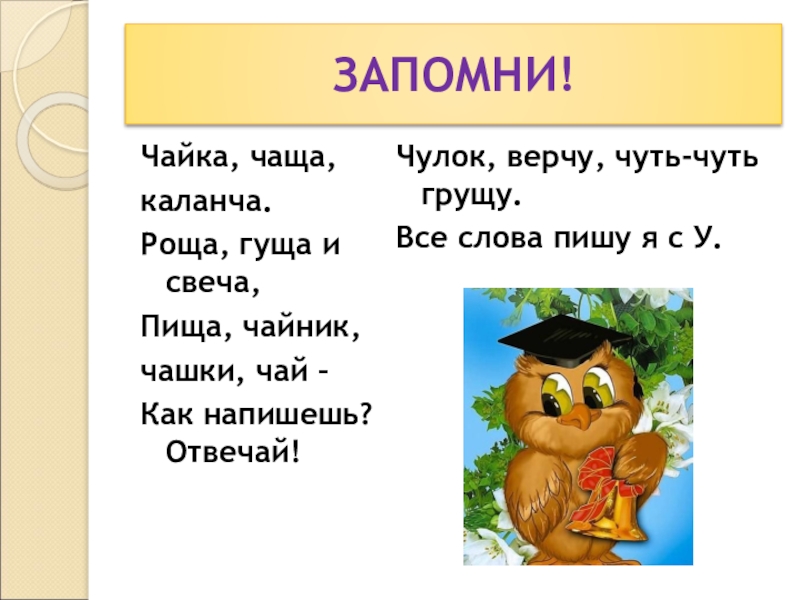 Слово чаща. Корень слова каланчей. Ши ши песня. Как правильно пишется слово вертит или вертит.