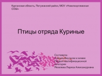 Презентация по биологии Птицы отряда Куриные