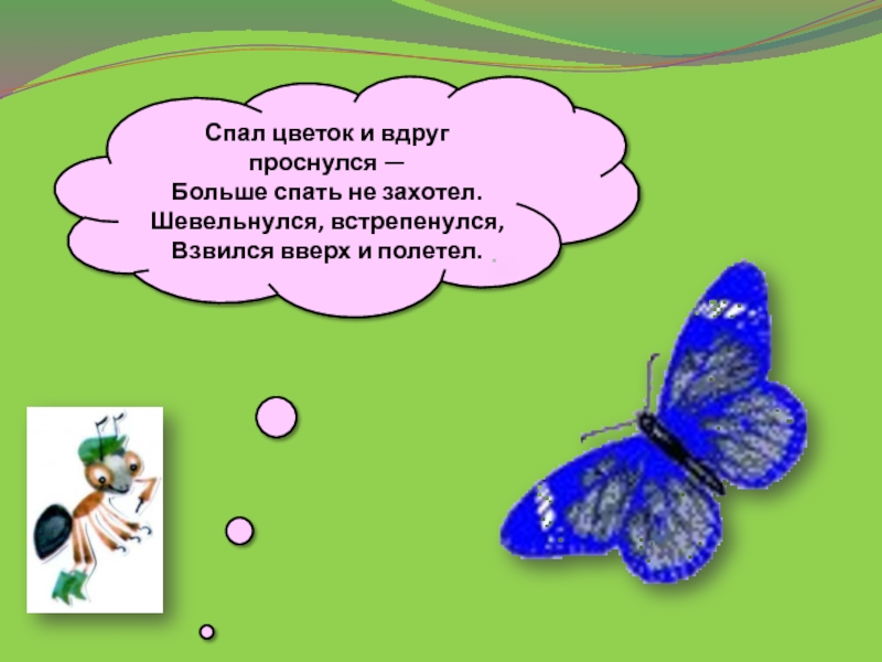 Физкультминутка утром бабочка проснулась. Вдруг проснулся. Шаблон для презентации бабочки. Цветок и вдруг проснулся. Физминутка бабочка спал цветок и вдруг.