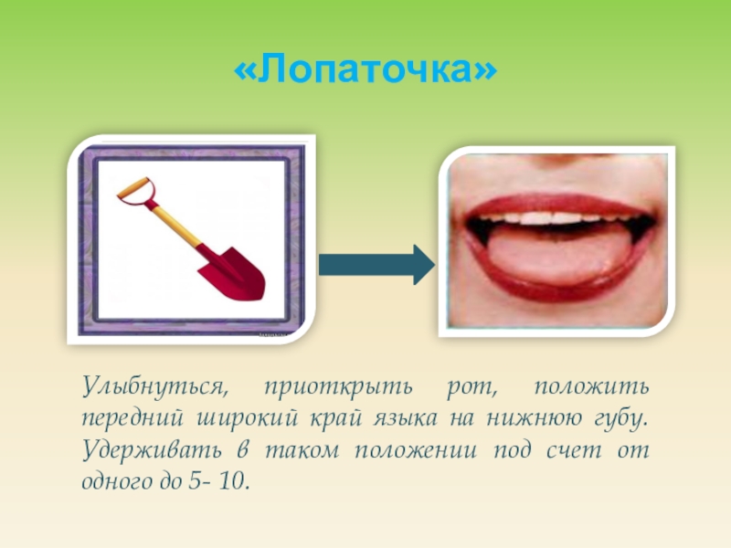 Артикуляционная гимнастика маляр в картинках