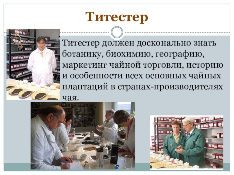 Профессии 9. Титестер профессия. Титестер школа. Титестер профессия доклад кратко. Профессии до 9.