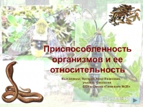 Презентация по биологии на тему Приспособленность организмов и её относительность (9 класс)