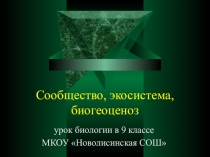 Презентация к уроку биологии в 9 классе Экосистемы