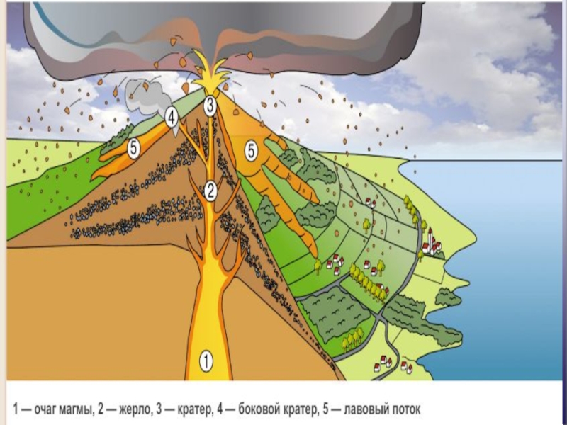 Боковой кратер на рисунке. Движение земной коры 5 класс география. Землетрясения и вулканы 5 класс география презентация