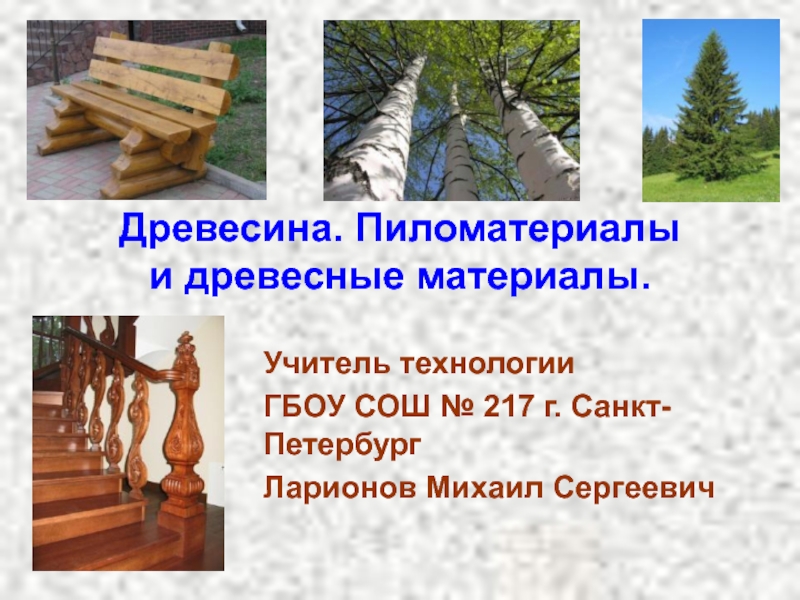 Презентация Древесина.Пиломатериалы и древесные материалы.