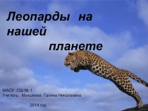 Презентация Леопарды на нашей планете