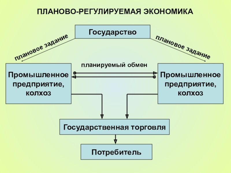 Признаки государственной экономики. Плановая экономика схема. Плановая экономика примеры. Плановая экономическая система. Принципы плановой экономики.