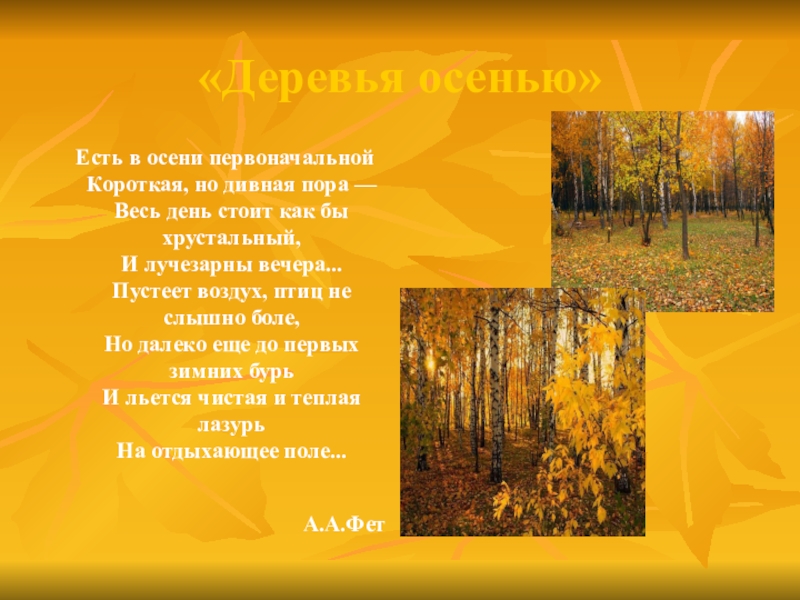 Есть в осени первоначальная но дивная. Есть в осени первоначальной. Стих есть в осени первоначальной короткая но дивная пора. Стих про осеннее дерево. Стихотворения про осень русских поэтов.