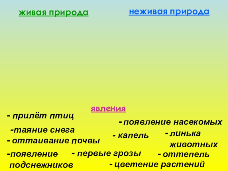 Весенние явления в живой природе презентация