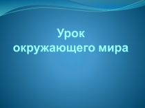 Презентация по окружающему миру на тему Как человек использует свойства воздуха