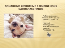 Презентация проектной деятельности Эти удивительные кошки